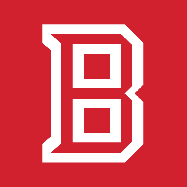 Bradley Braves 2012-Pres Secondary Logo v4 iron on transfers for clothing